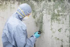 Asbestos and Lead Testing During Mold Inspection in Cambridge, WI